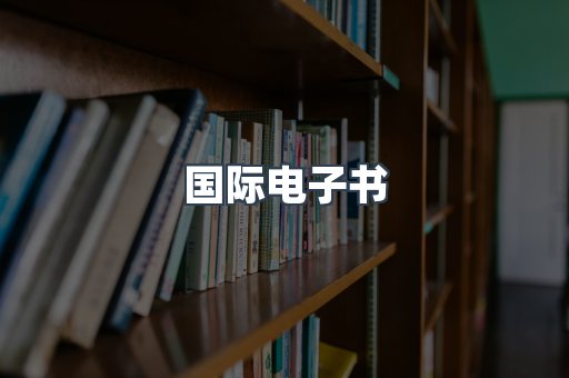 国际电子书