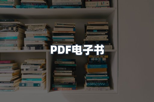 PDF电子书